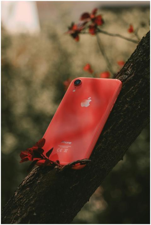 Red smartphone placed against a tree amidst vibran