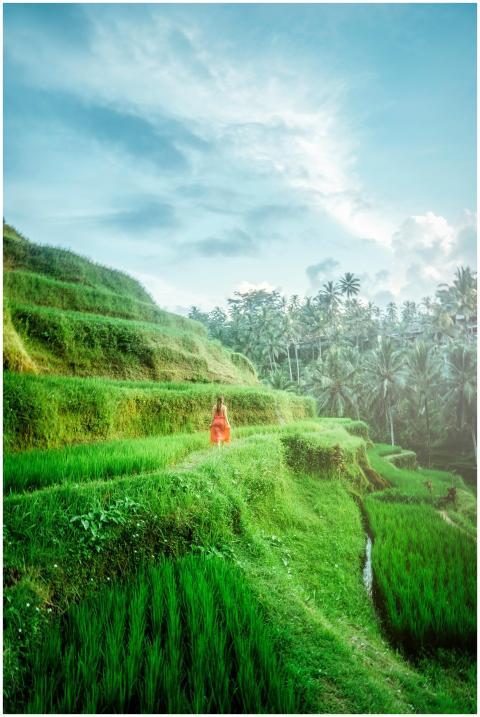 A woman in a flowing dress walking through green r