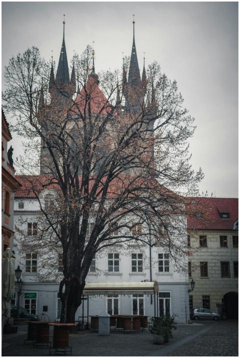 A stunning view of a Gothic church with historic a