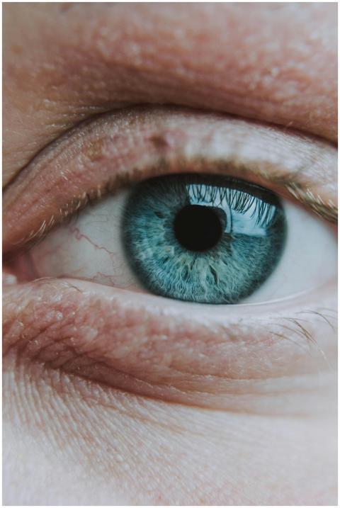 Intricate close-up of a blue eye showing detailed