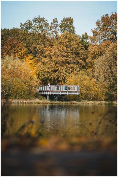 Tranquil fall landscape with colorful trees and a
