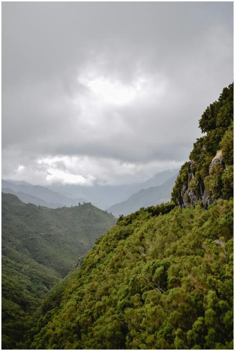 Breathtaking view of Madeira's lush green mountain