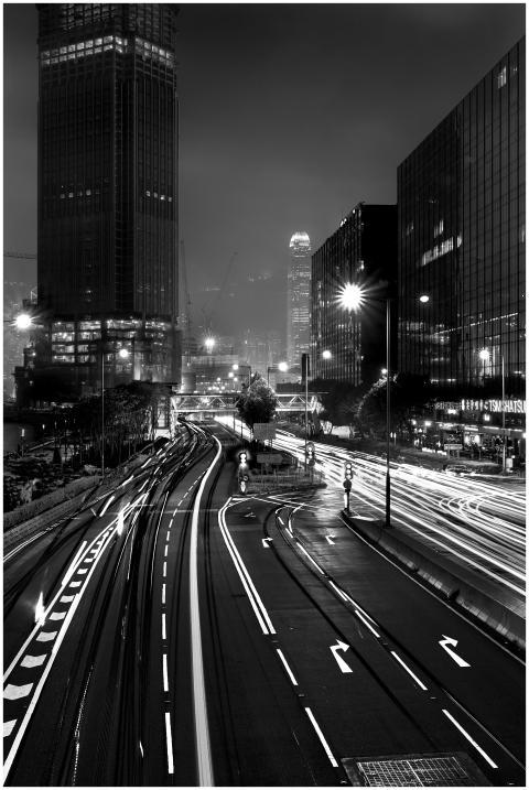 Captivating black and white cityscape showcasing l