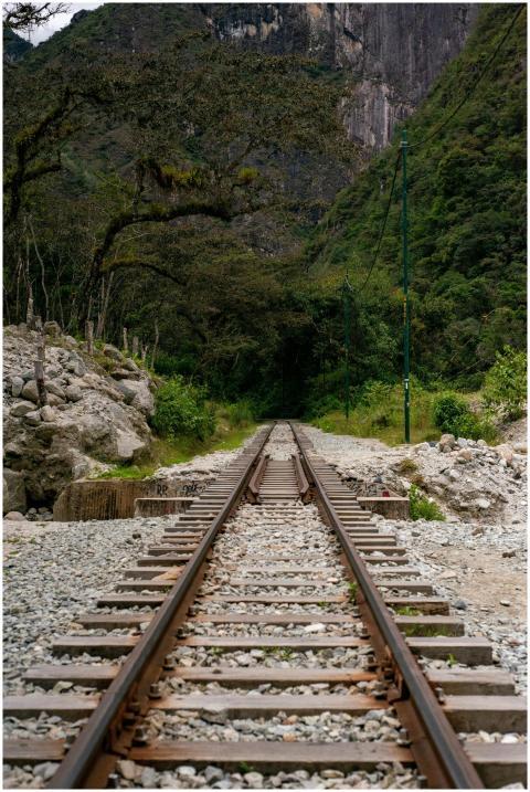 A scenic view of railway tracks disappearing into