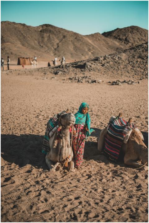 A woman stands with camels in a sunlit desert land