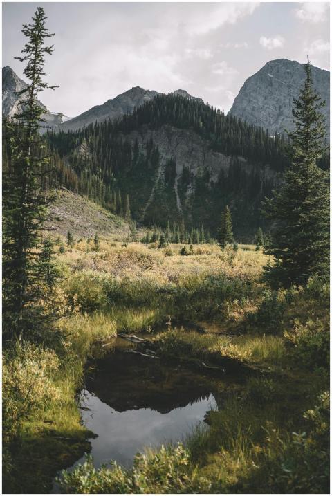 Beautiful mountain landscape featuring a tranquil
