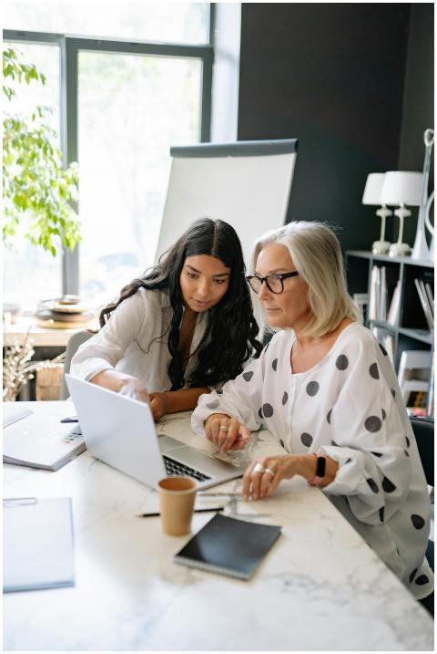 Two professional women collaborating on a project
