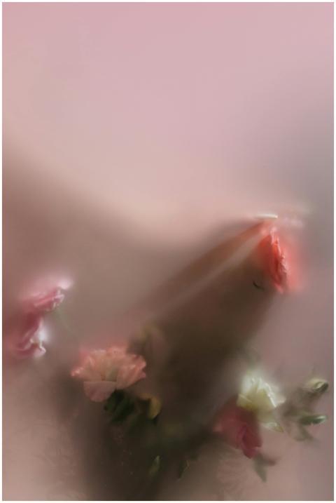 Blurred flowers behind translucent surface creatin