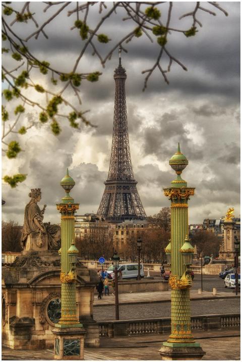 A captivating view of the Eiffel Tower framed by h