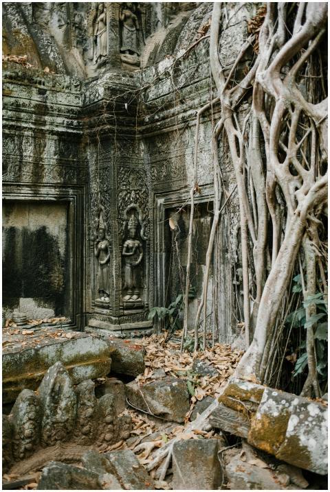 Explore the mystical ruins of Ta Prohm temple, int