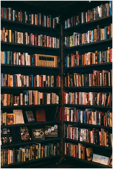 Corner view of a library with dark wooden bookshel