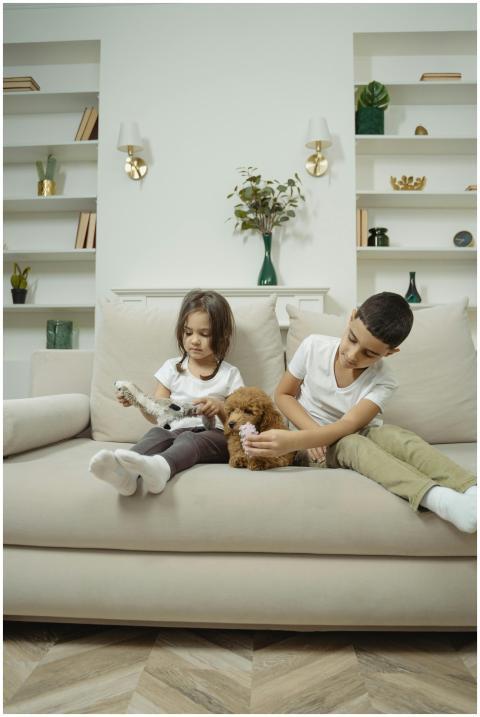 Two kids enjoy bonding with a cute puppy on a beig
