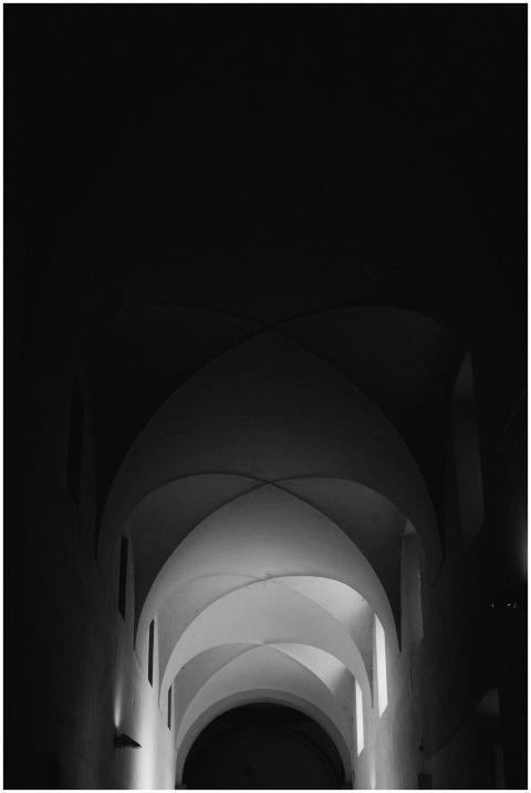 A dramatic black and white photo showcasing arches