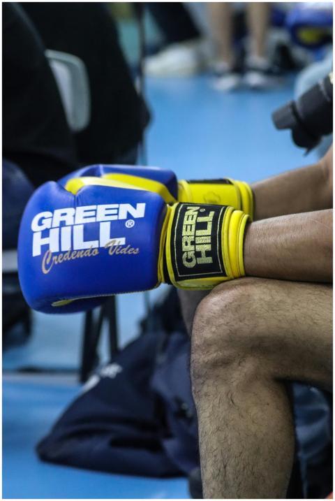 Free stock photo of boxer, boxing, boxing gloves