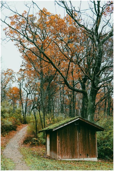 Rustic Cabin Autumn Forest