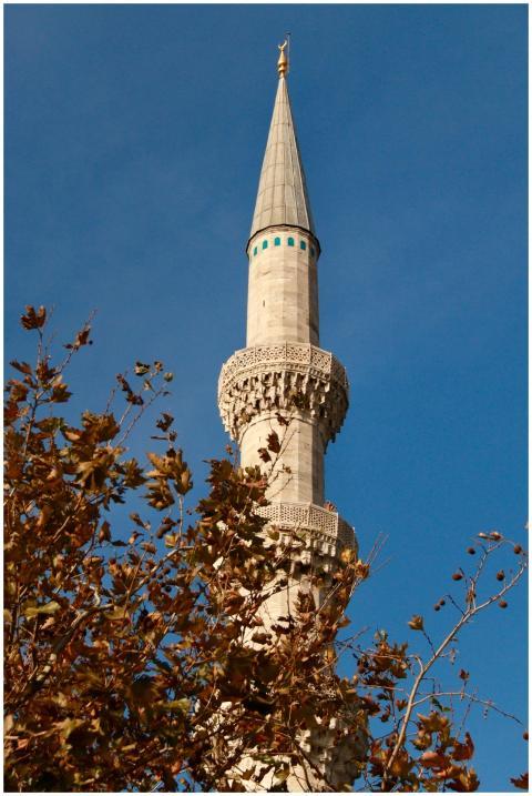 Majestic Minaret Autumn Leaves