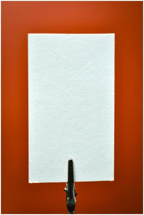 Minimalist scene of a blank white card held by a c