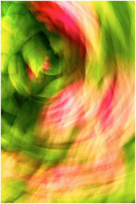 Colorful abstract swirl with dynamic floral patter