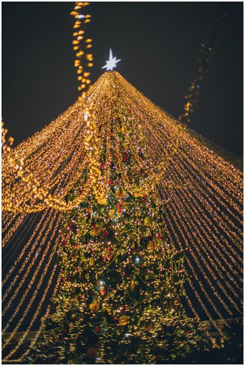A vibrant Christmas tree illuminated by golden fai
