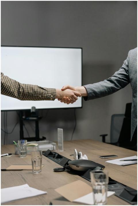 Two business professionals shaking hands in a mode