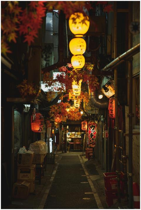 A narrow, atmospheric alley in Tokyo illuminated b