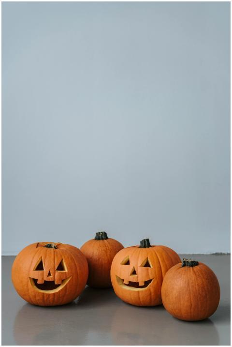 Four jack-o'-lanterns on a floor with a gray backd