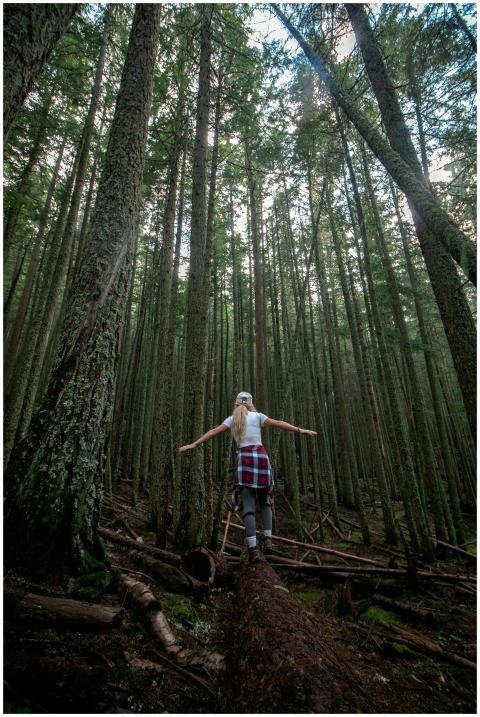 A woman balances on a log amidst towering trees in