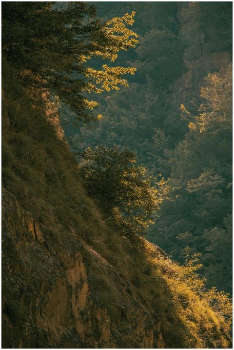 Serene view of cliffs and lush vegetation, showcas