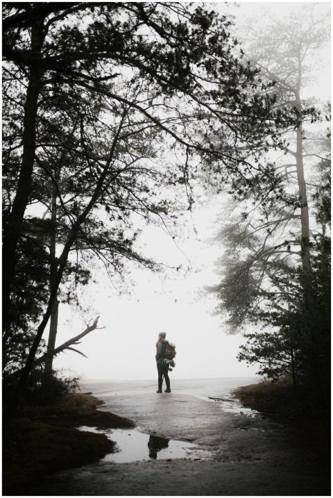 A lone hiker explores the misty forest pathways of