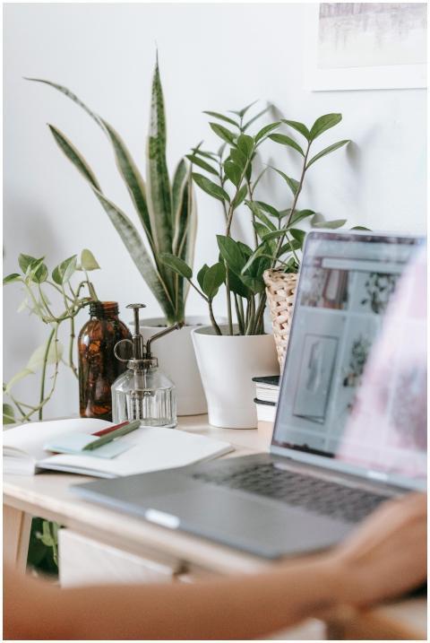 Modern home office setup with laptop, potted plant