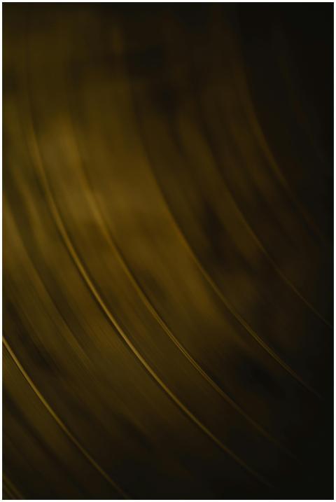 Detailed close-up of the grooves in a vinyl record
