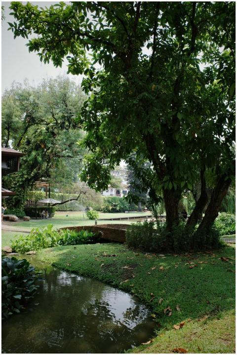 Explore the serene greenery and tranquil pond in a