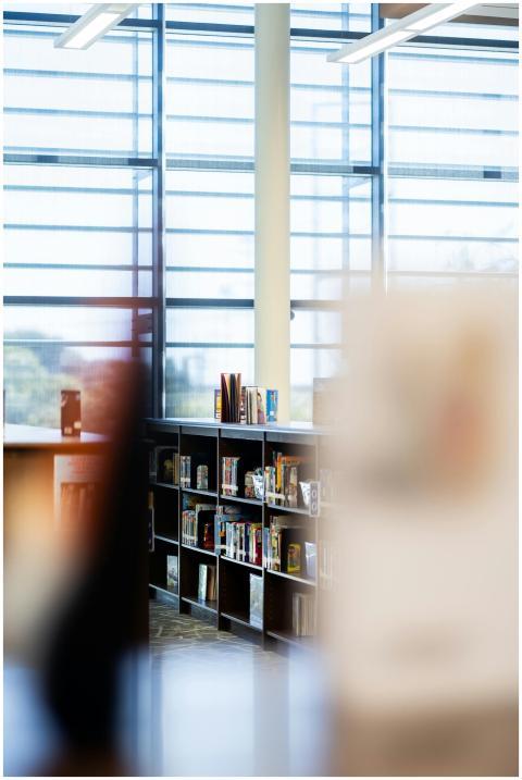 Modern Library Interior Bookshelves