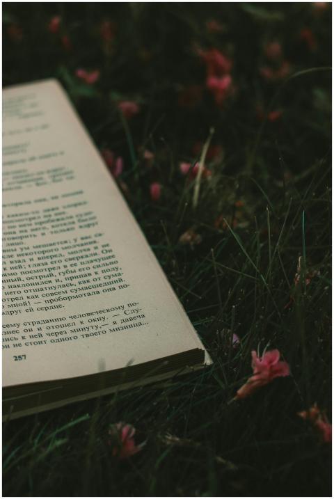 A close-up of an open book resting on grass surrou