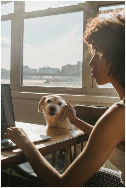 A young woman works on a laptop, accompanied by he