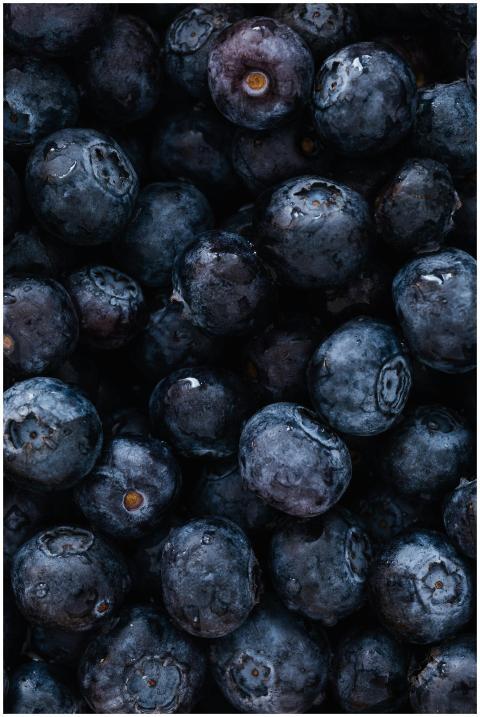 Top view of delicious sweet and fresh ripe blueber