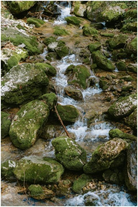 Discover the tranquil beauty of a mossy mountain s