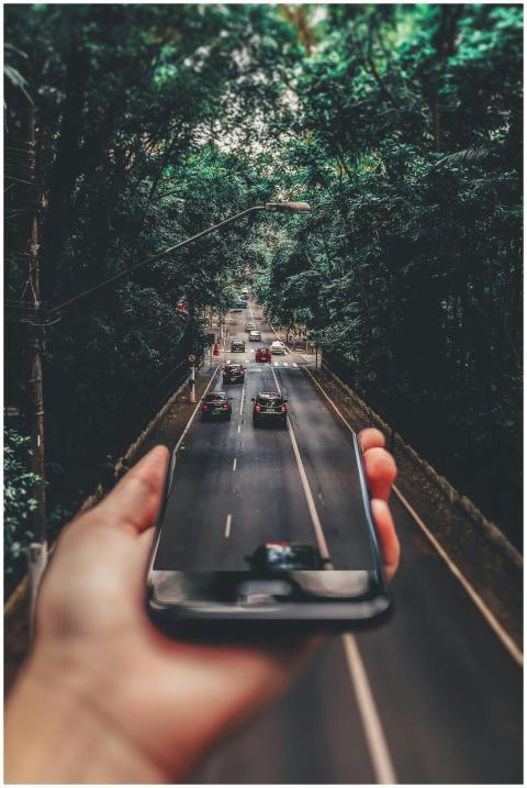 Creative blend of technology and nature with smart