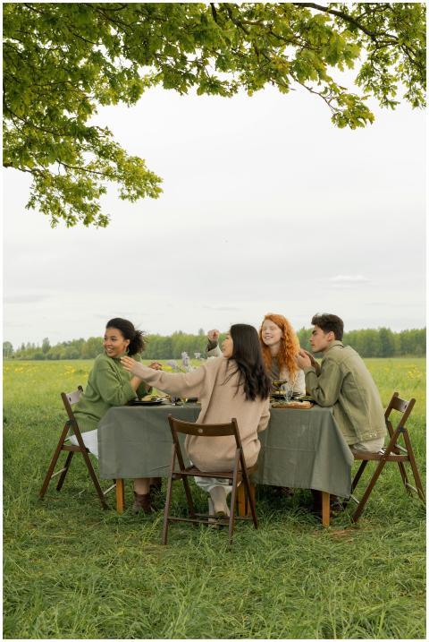 Friends enjoying a picnic in a grassy field, seate