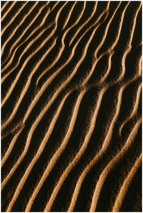 A close-up view of textured sand dunes capturing t