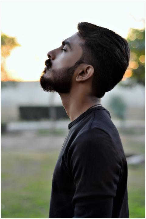 Side view portrait of a bearded man gazing upwards
