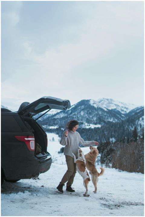 Woman playing with dogs by a car in snowy mountain