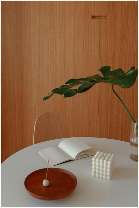 Minimalist table setup with a plant, notebook, and