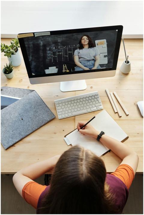 A teenage student attentively participates in a vi