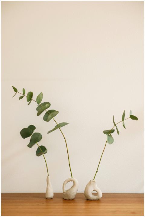 Elegant eucalyptus branches in modern ceramic vase