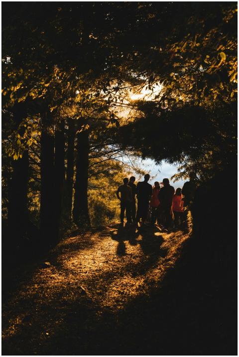 A group of people walking on a forest path, silhou