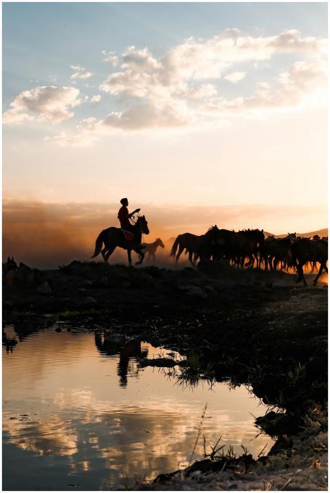A herder guides a horse herd near a reflective wat