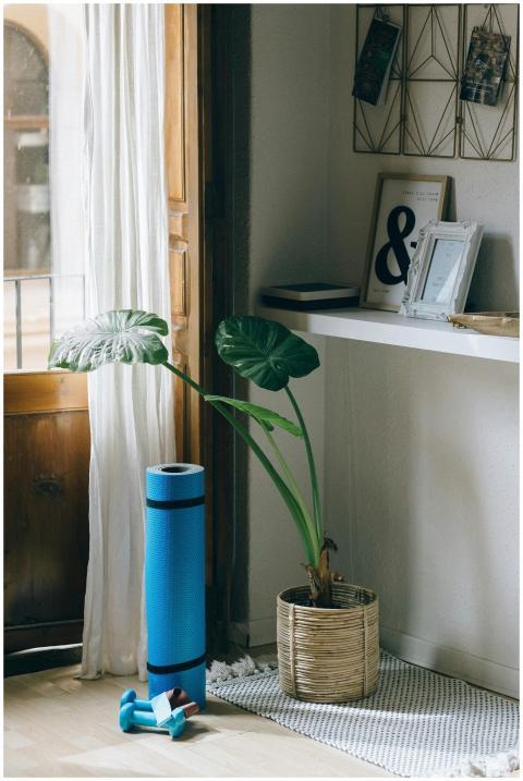 A serene corner of a home featuring a plant, yoga
