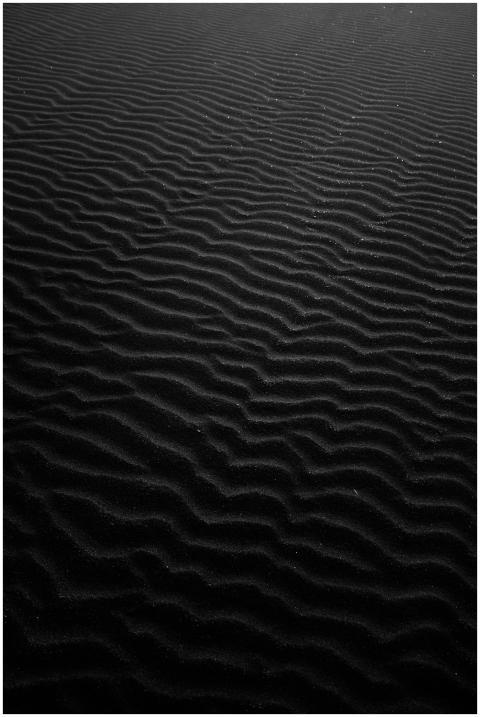 Abstract monochromatic image displaying intricate