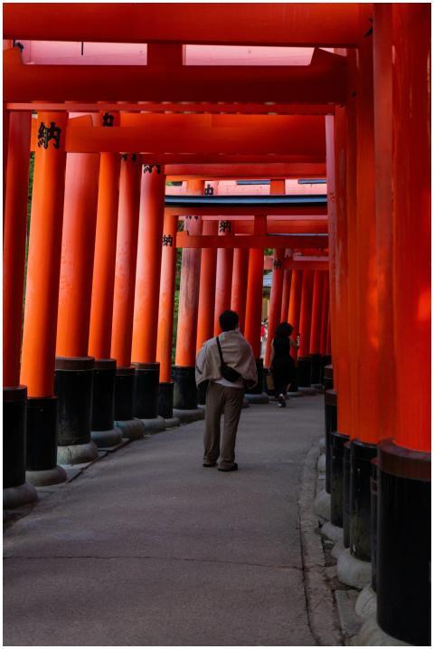 People Walking Through Fushimi
